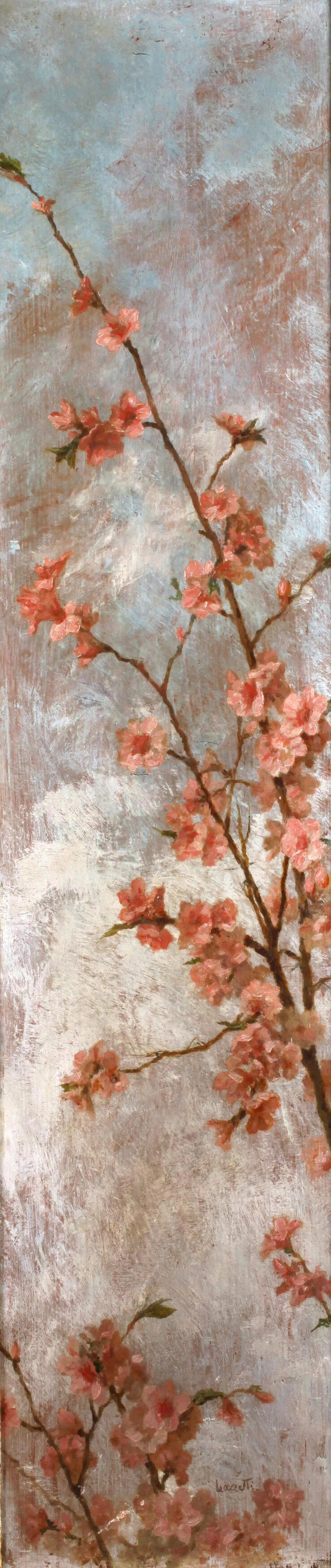 Valerio Laccetti - Ramo fiorito